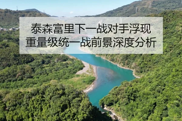 泰森富里下一战对手浮现 重量级统一战前景深度分析（beats365）